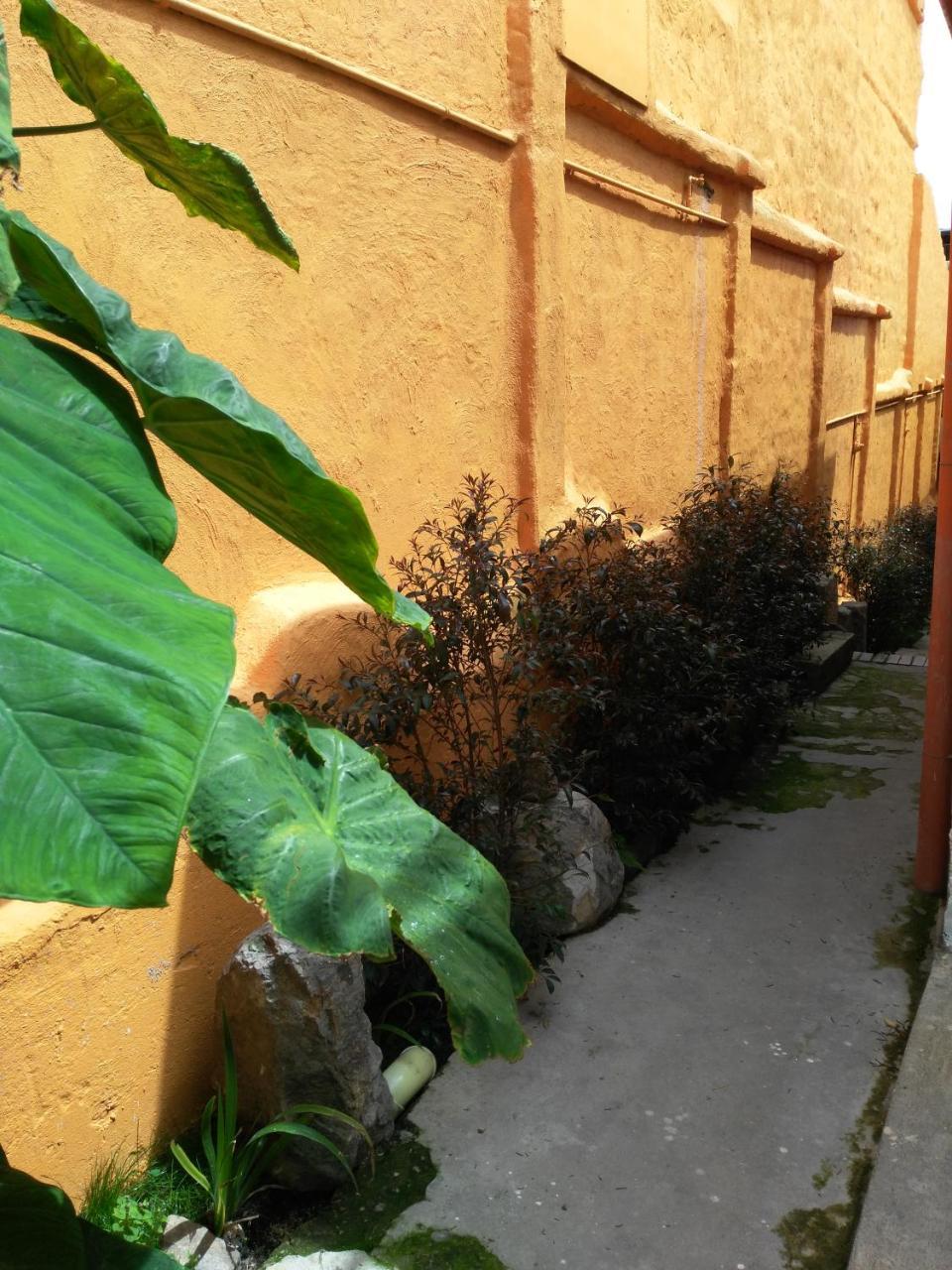 Casa-Arbol Apartment Bogotá Exterior foto